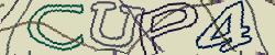 Retype the CAPTCHA code from the image