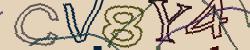 Retype the CAPTCHA code from the image