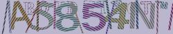 Retype the CAPTCHA code from the image