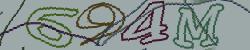 Retype the CAPTCHA code from the image