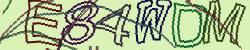 Retype the CAPTCHA code from the image