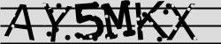 Retype the CAPTCHA code from the image
