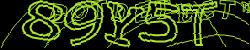 Retype the CAPTCHA code from the image