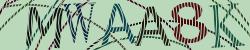 Retype the CAPTCHA code from the image