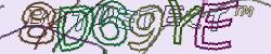 Retype the CAPTCHA code from the image