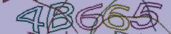Retype the CAPTCHA code from the image