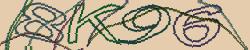 Retype the CAPTCHA code from the image