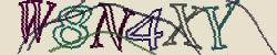 Retype the CAPTCHA code from the image