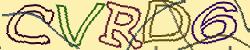 Retype the CAPTCHA code from the image