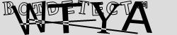 Retype the CAPTCHA code from the image