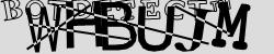 Retype the CAPTCHA code from the image
