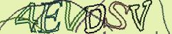 Retype the CAPTCHA code from the image