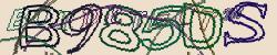 Retype the CAPTCHA code from the image