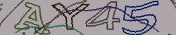 Retype the CAPTCHA code from the image