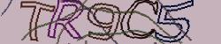 Retype the CAPTCHA code from the image
