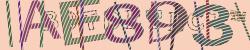 Retype the CAPTCHA code from the image