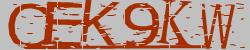 Retype the CAPTCHA code from the image