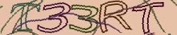 Retype the CAPTCHA code from the image