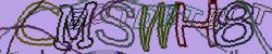 Retype the CAPTCHA code from the image
