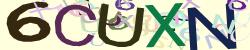 Retype the CAPTCHA code from the image