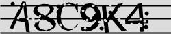 Retype the CAPTCHA code from the image
