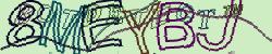 Retype the CAPTCHA code from the image