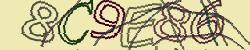 Retype the CAPTCHA code from the image
