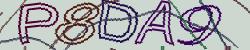 Retype the CAPTCHA code from the image