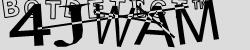 Retype the CAPTCHA code from the image