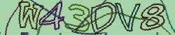 Retype the CAPTCHA code from the image