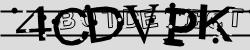 Retype the CAPTCHA code from the image