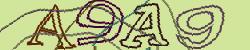 Retype the CAPTCHA code from the image