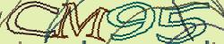 Retype the CAPTCHA code from the image
