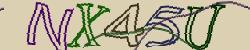 Retype the CAPTCHA code from the image