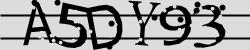 Retype the CAPTCHA code from the image