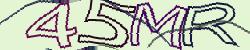 Retype the CAPTCHA code from the image