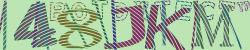 Retype the CAPTCHA code from the image