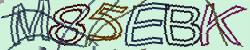 Retype the CAPTCHA code from the image