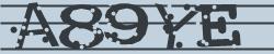 Retype the CAPTCHA code from the image