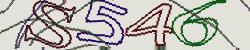Retype the CAPTCHA code from the image
