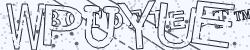 Retype the CAPTCHA code from the image