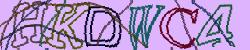Retype the CAPTCHA code from the image