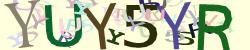 Retype the CAPTCHA code from the image