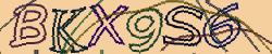 Retype the CAPTCHA code from the image