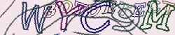 Retype the CAPTCHA code from the image