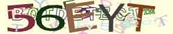 Retype the CAPTCHA code from the image
