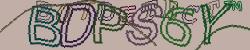 Retype the CAPTCHA code from the image