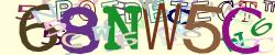 Retype the CAPTCHA code from the image