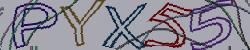 Retype the CAPTCHA code from the image