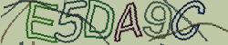 Retype the CAPTCHA code from the image